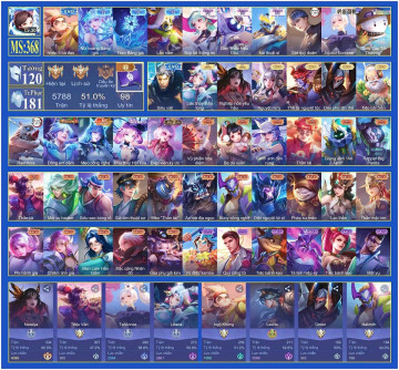 Acc VIP6260