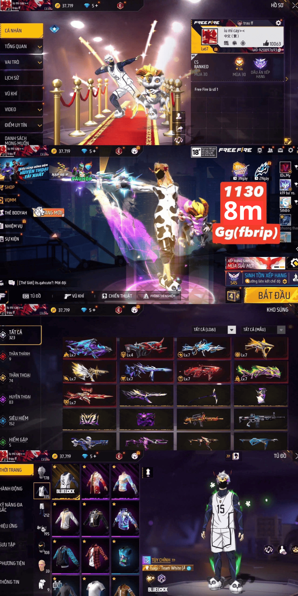 Acc VIP8686